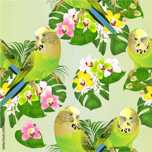 Seamless texture Parakeets green Budgerigars home pets ,or budgie or shell parakeet  and Orchids cymbidium with tropical palm and philodendron   watercolor vintage vector illustration