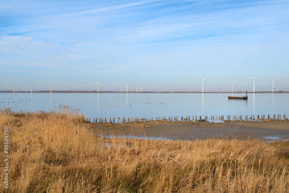 Dutch landscape polder Eemmeer