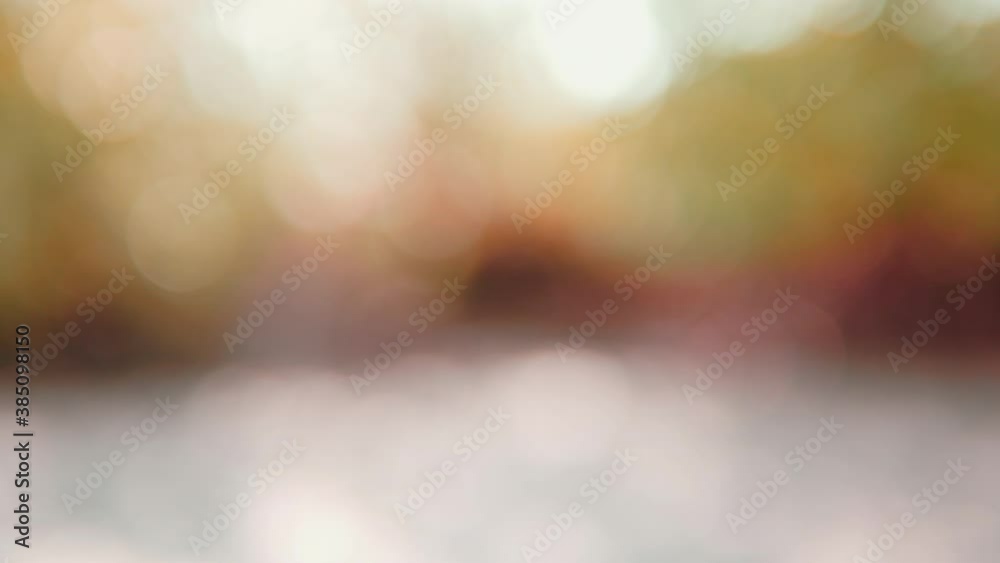 Abstract blurred autumn background, moving colorful bokeh of defocused autumn leaves trees multicolor fall foliage against sunlight.