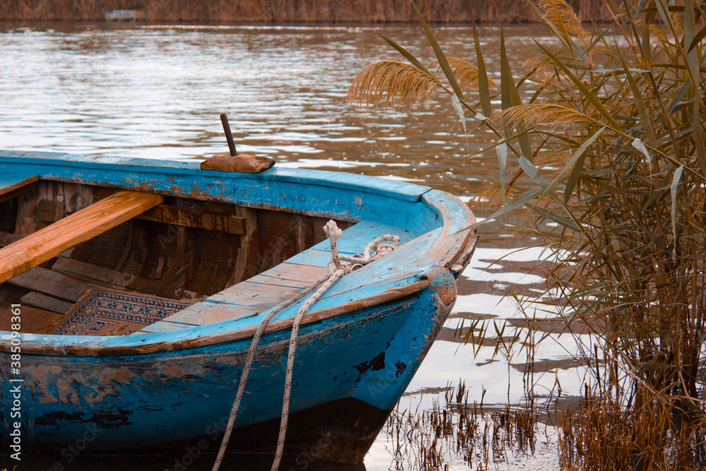 Autumn background, boat and the tropical park Autumn background, boat and the tropical park