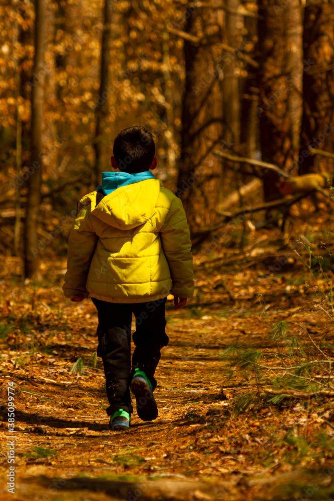 A boy wearing a winter coat with a hood is walking alone in a hiking trail covered with fallen autumn leaves. The trail goes through a forest and is shaded. A fall concept image with some mystery. A boy wearing a winter coat with a hood is walking alone in a hiking trail covered with fallen autumn leaves. The trail goes through a forest and is shaded. A fall concept image with some mystery.
