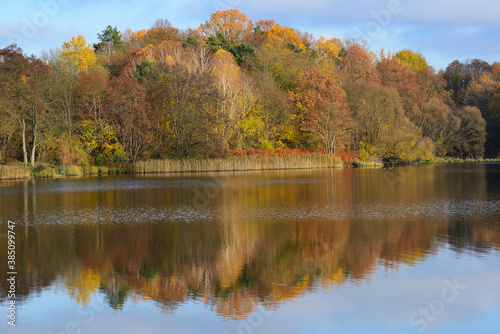 Autumn tree on the lake.