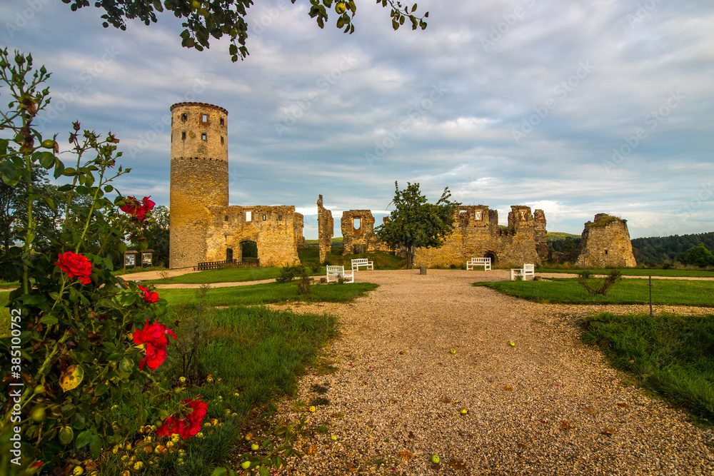The Ruin of Zvířetice Castle located near Mlada Boleslav