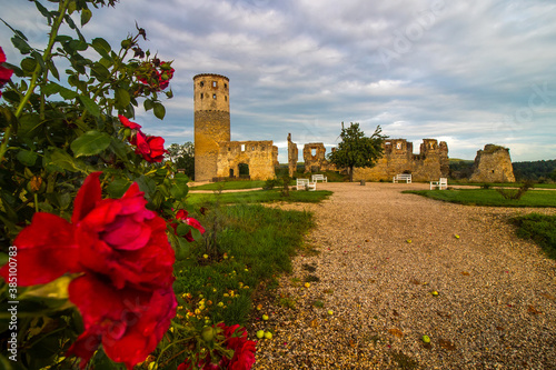 The Ruin of Zvířetice Castle located near Mlada Boleslav photo