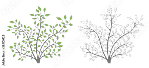 Shrub with green leaves in two versions on a white background