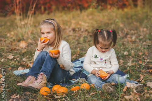Two little happy sisters in white christmas sweaters and jeans sitting on the blue plaid and eating oranges fruits in the park in warm autumn day