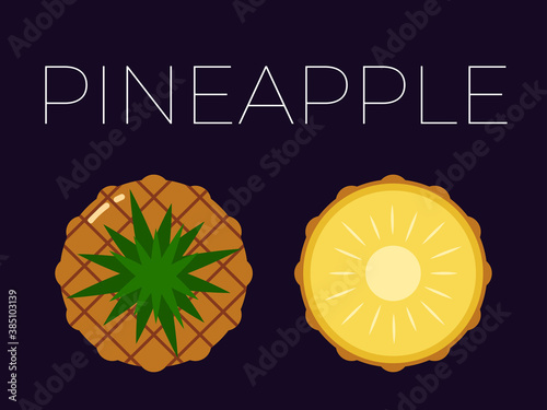 Vector of Pineapple, Ananas and sliced half of Pineapple, Ananas on dark background
