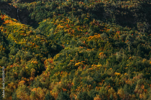 Colorful autumn forest, horizontal view. Mountain forest in autumn. Colorful mountains in autumn. Beautiful autumn landscape. Copy space