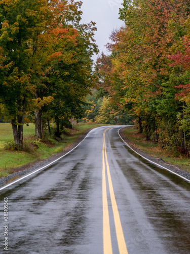 wet autumn road