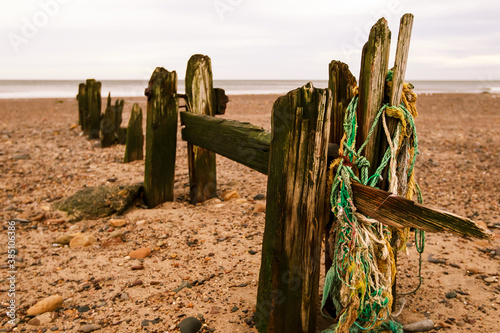 Old sea groynes in the uk weathered wooden posts photo