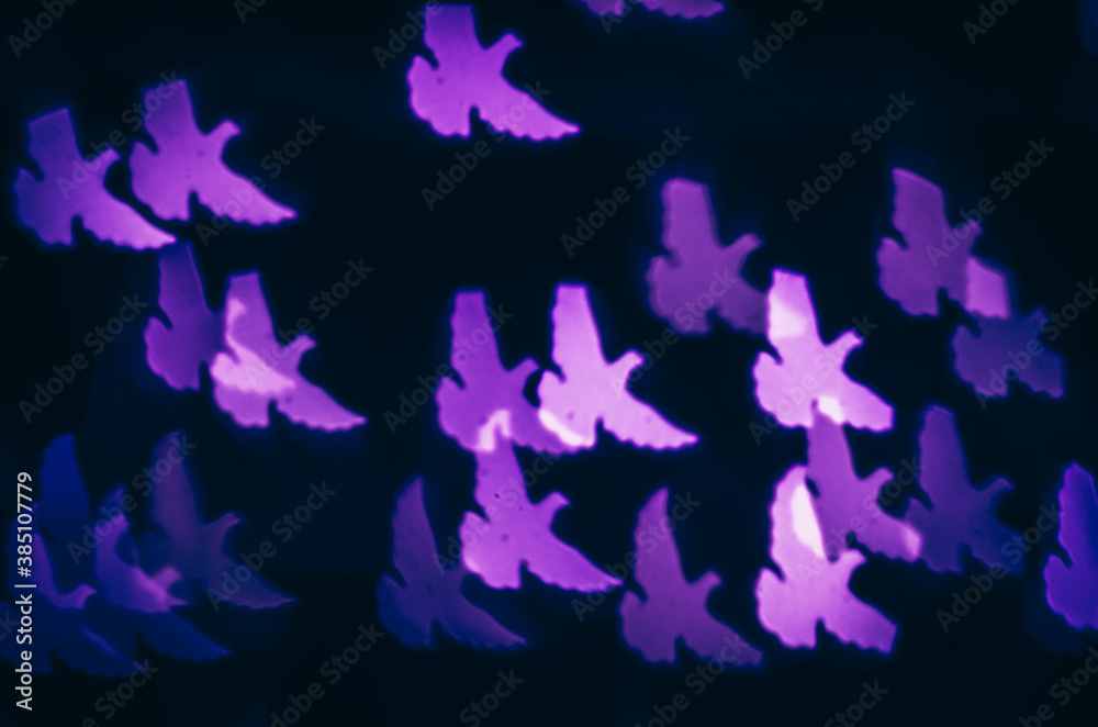 abstract dove bokeh background christmas concept