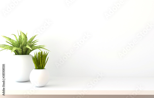Shelf on white wall with green plants. 3D rendering