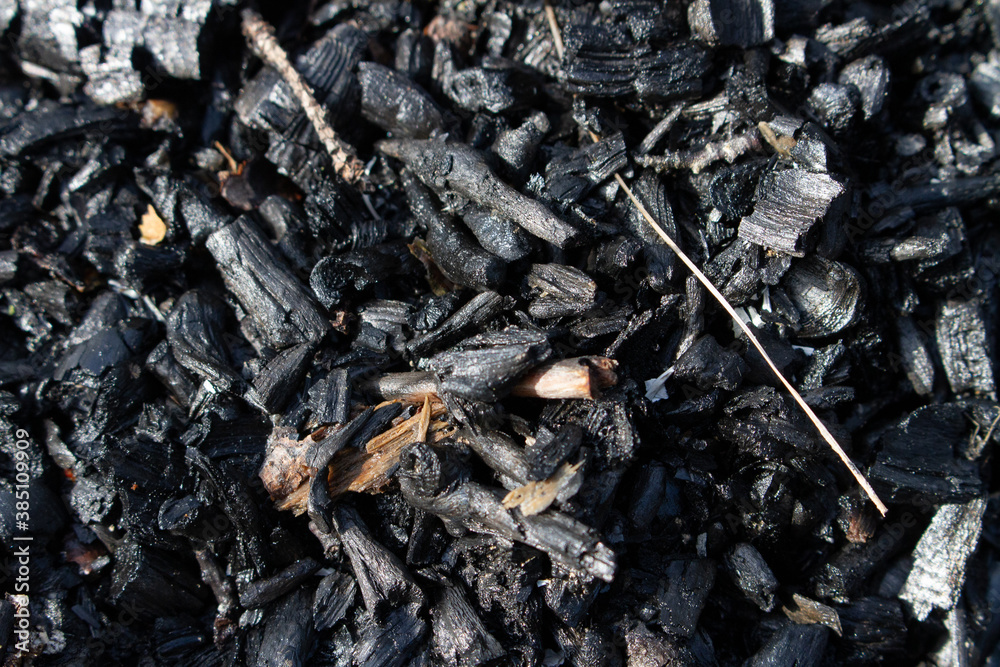 Burnt out bonfire campfire. Bombard or barbecue fire ashes close up. Burn wood ash, abstract fireplace without flame
