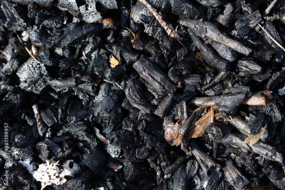 Burnt out bonfire campfire. Bombard or barbecue fire ashes close up. Burn wood ash, abstract fireplace without flame Burnt out bonfire campfire. Bombard or barbecue fire ashes close up. Burn wood ash, abstract fireplace without flame