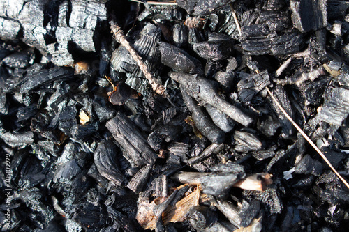 Foto Burnt out bonfire campfire