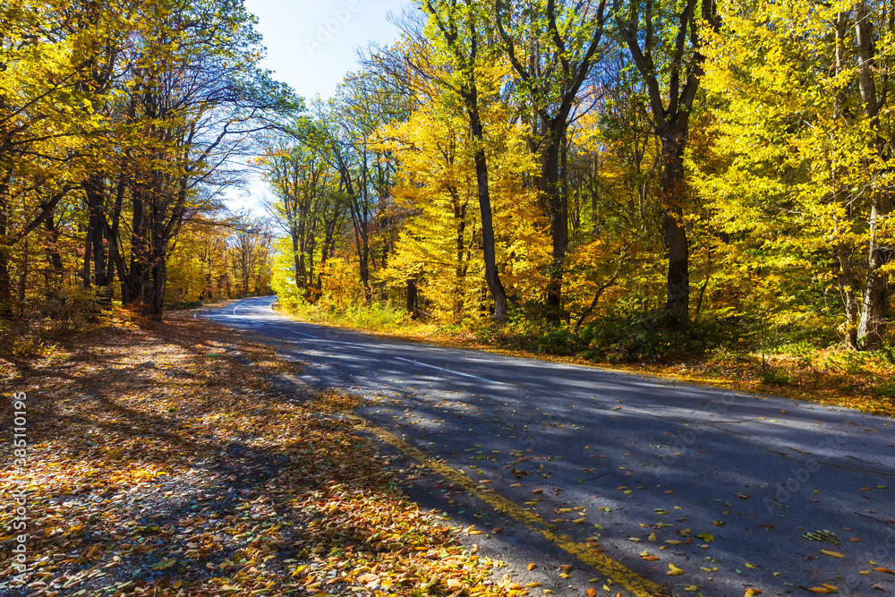 Mountain road through the autumn forest