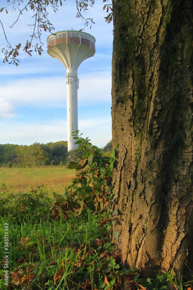 tronco di albero e torre a settimo milanese italia, trunk of a tree and a modern tower in settimo milanese village in italy tronco di albero e torre a settimo milanese italia, trunk of a tree and a modern tower in settimo milanese village in italy
