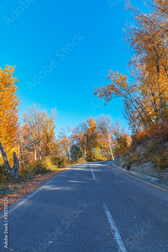 Mountain road through the autumn forest