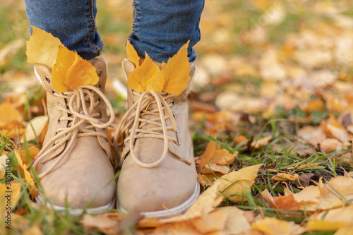women's feet in autumn brown shoes and blue jeans in autumn yellow leaves