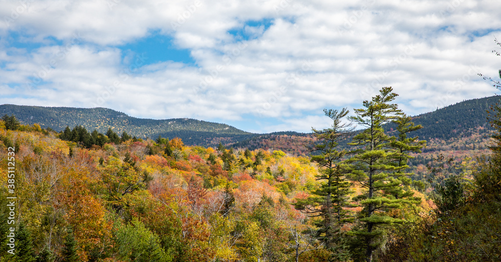 Fall Color on a hillside in New Hampshire