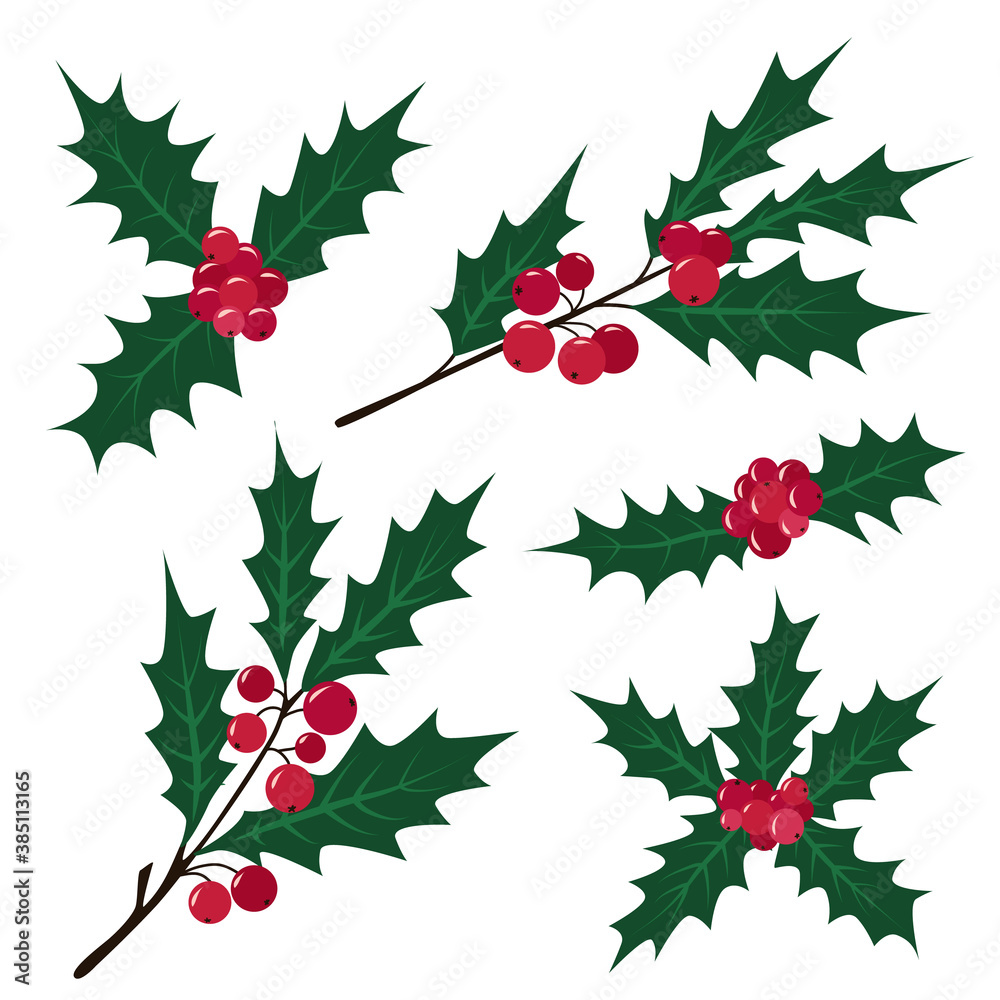 Set of Holly branches with red berries and leaves. Christmas traditional winter plant. Vector illustration isolated on white background. Flat cartoon design. For cards, posters, banners, invitations.