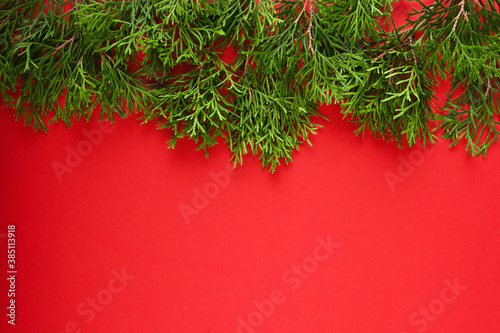 Christmas holiday evergreen branches on red background.