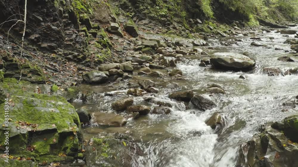 Landscape of a mountain river in the forest in early autumn and late summer. water in a natural stream. beautiful and relaxing forest with a river. River deep in mountain forest. 