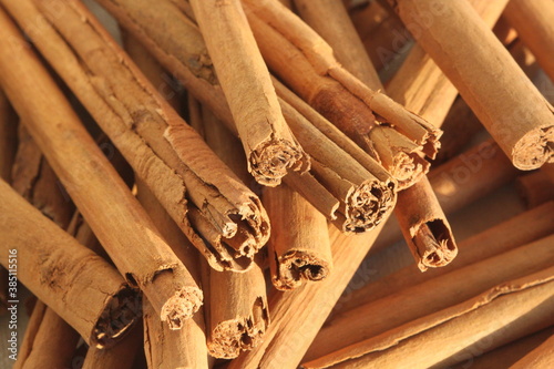 Canela - Cinnamomum zeylanicum,  Cinnamomum verum