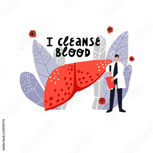 I cleanse blood. Hand drawn illustration of liver and doctor in leaves.