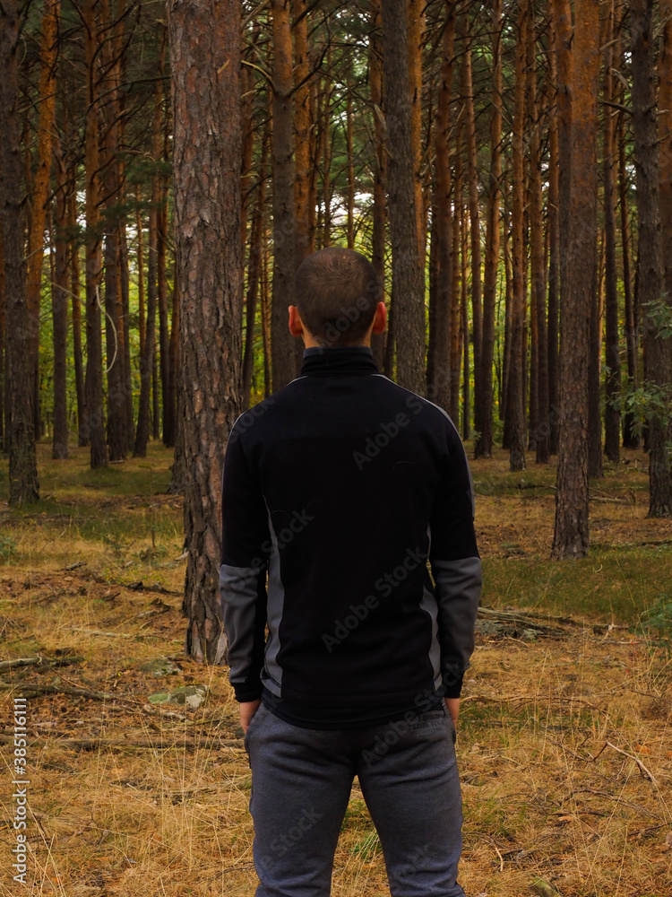 unrecognizable young man in a pine forest unrecognizable young man in a pine forest