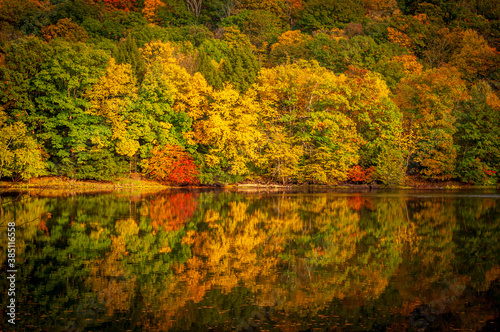 Trees on a hillside turning colors in the fall and reflecting off of the Allegheny River in Warren County, Pennsylvania, USA on a sunny fall day
