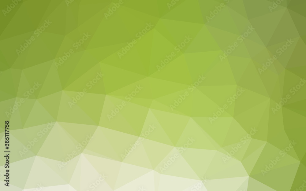 Light Green vector polygon abstract background. Light Green vector polygon abstract background.
