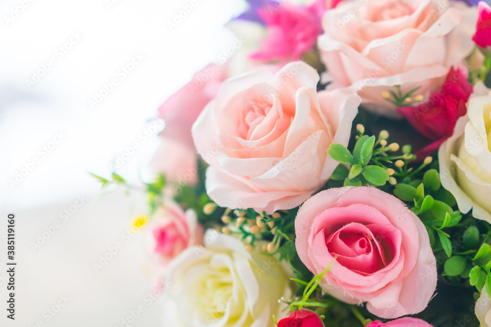valentine day background. rose flower close up