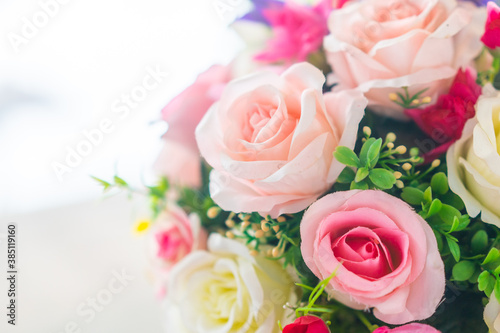 valentine day background. rose flower close up