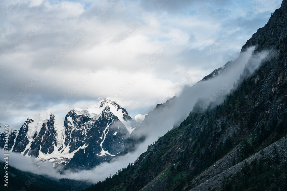 Alpine landscape with big glacier behind mountains with forest under cloudy sky. Low clouds on mountain side and giant snowy rocks. Atmospheric scenery with glacial rocky mountains and trees on rocks.