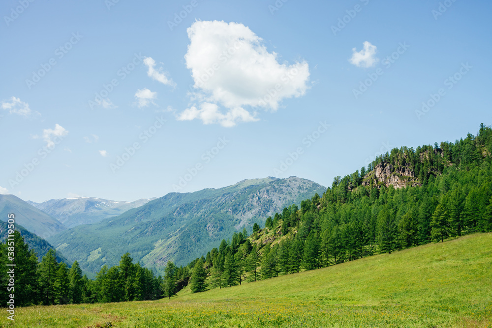 Beautiful view to green forest hill with rock and mountain range. Awesome minimalist alpine landscape of vast expanses. Wonderful vivid highland scenery with great mountains and forest. Scenic nature.