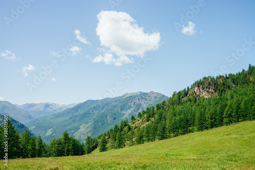 Beautiful view to green forest hill with rock and mountain range. Awesome minimalist alpine landscape of vast expanses. Wonderful vivid highland scenery with great mountains and forest. Scenic nature. © Daniil