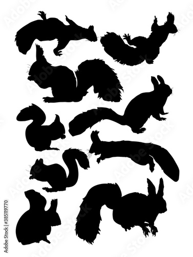 set of squirrel silhouettes  vector