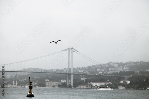 birds over the river