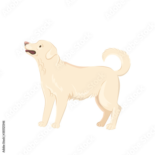 Cute labrador dog vector illustration. Sand labrador clip-art isolated on white background.