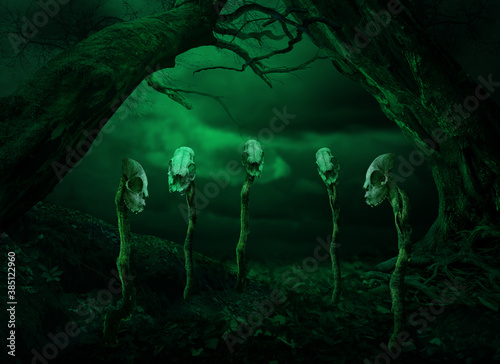 Surreal gothic horror landscape for Halloween. Scary dead trees and five skulls picked on sticks. Enchanted place of sorcerer or witch