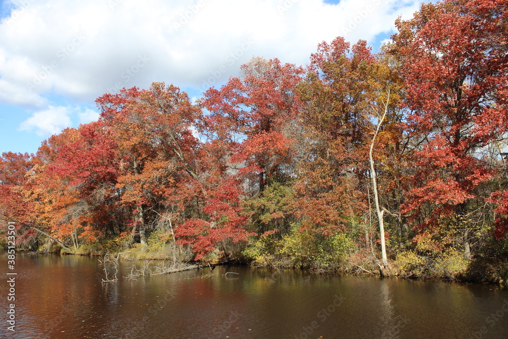 autumn colors in the park