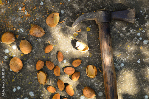 Hammer, Almonds, and nutshells on the ground. Cracking almonds photo. Top view.