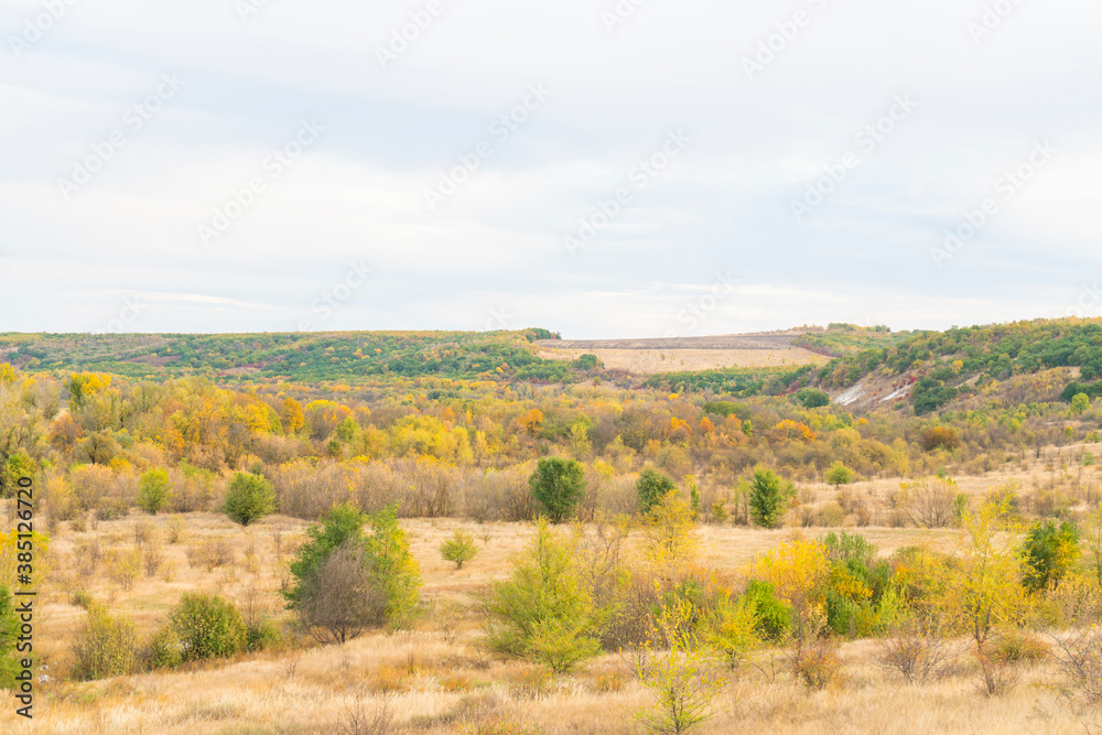 autumn forest landscape with blue sky background autumn forest landscape with blue sky background