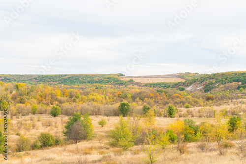 autumn forest landscape with blue sky background