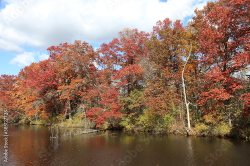 autumn colors in the park