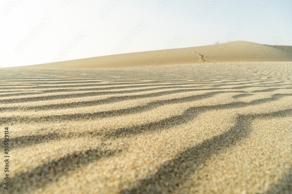 Naklejka premium Sand dunes in the wind at Patara beach, Antalya province, Turkey