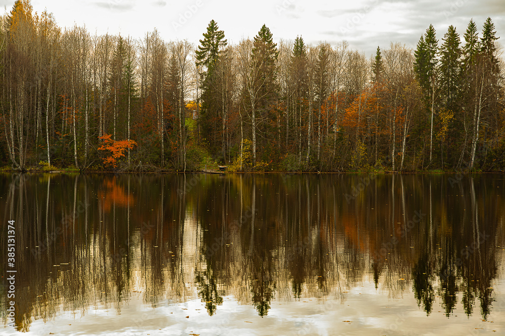 landscape, autumn view of the forest near the lake, reflection of trees on the water.