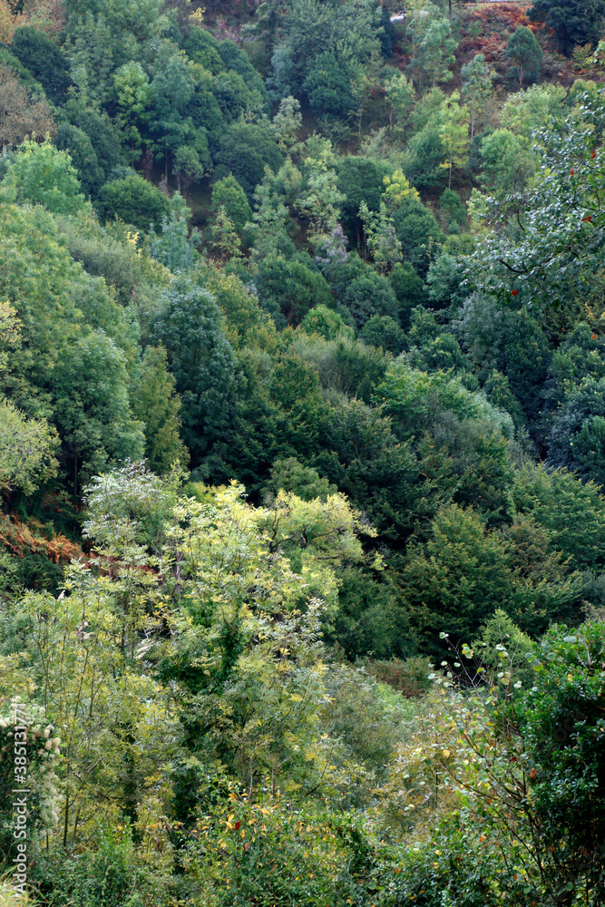 Urban park in an autumn day