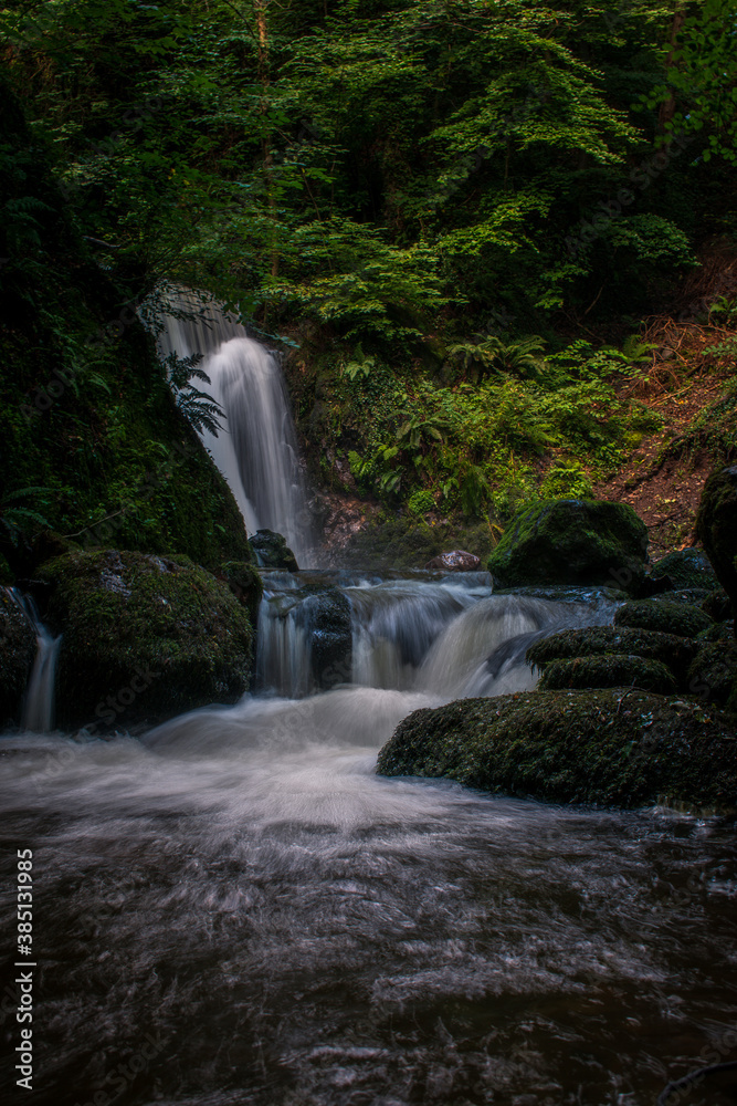 Obraz premium waterfall in the woods